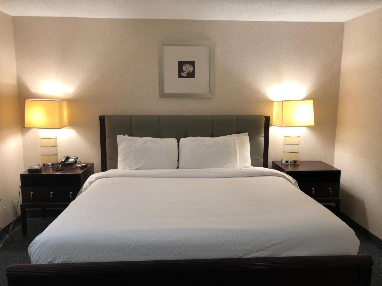 Days Inn By Wyndham Fredericton Kültér fotó